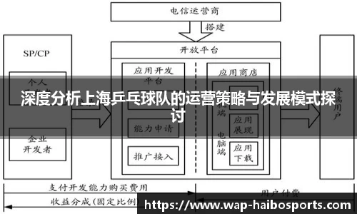 深度分析上海乒乓球队的运营策略与发展模式探讨