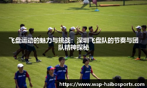 飞盘运动的魅力与挑战：深圳飞盘队的节奏与团队精神探秘